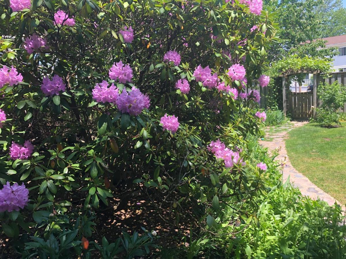 The Stella Rose B&B วูล์ฟวิลล์ ภายนอก รูปภาพ
